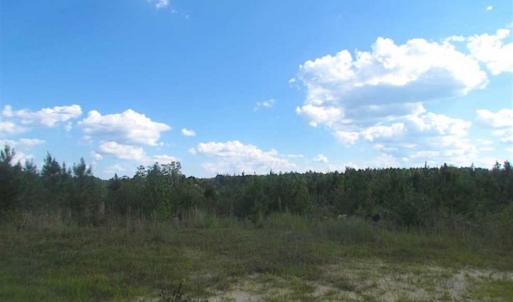 Photo of REDUCED!  103 Acres of Hunting and Investment Land For Sale in Dinwiddie County VA!