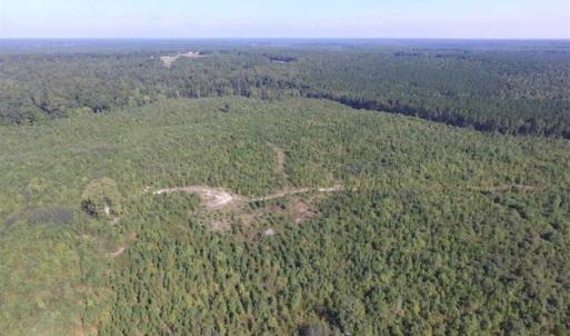 Photo of REDUCED!  103 Acres of Hunting and Investment Land For Sale in Dinwiddie County VA!