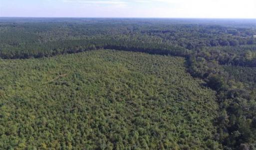 Photo of REDUCED!  103 Acres of Hunting and Investment Land For Sale in Dinwiddie County VA!