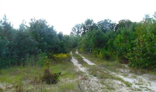 Photo of REDUCED!  103 Acres of Hunting and Investment Land For Sale in Dinwiddie County VA!