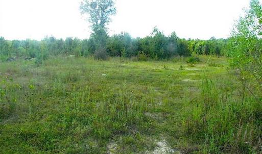 Photo of REDUCED!  103 Acres of Hunting and Investment Land For Sale in Dinwiddie County VA!