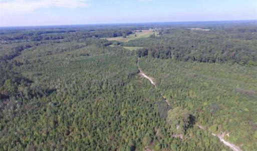 Photo of REDUCED!  103 Acres of Hunting and Investment Land For Sale in Dinwiddie County VA!