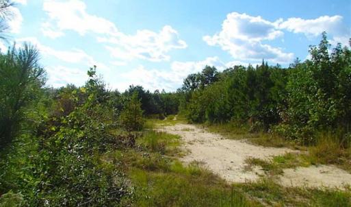 Photo of REDUCED!  103 Acres of Hunting and Investment Land For Sale in Dinwiddie County VA!