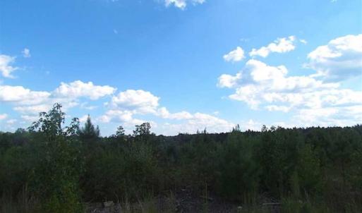 Photo of REDUCED!  103 Acres of Hunting and Investment Land For Sale in Dinwiddie County VA!