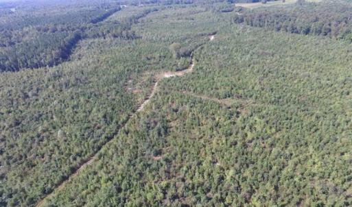 Photo of REDUCED!  103 Acres of Hunting and Investment Land For Sale in Dinwiddie County VA!