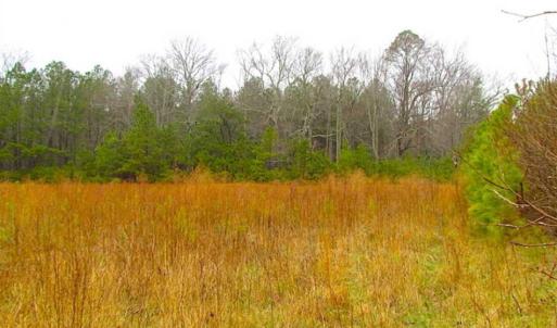 Photo of SOLD!!  13 Acres of Hunting Land For Sale in Northampton County VA!