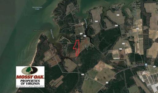 Photo of SOLD!!  13 Acres of Hunting Land For Sale in Northampton County VA!