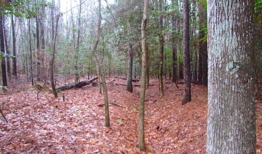 Photo of SOLD!!  13 Acres of Hunting Land For Sale in Northampton County VA!
