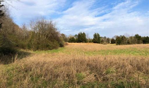 Photo of 20 Ac of Hunting and Farm Land for Sale in Brunswick County VA!
