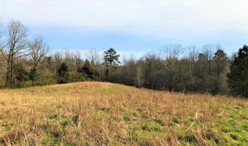 Photo of 3.5 Acres of Residential Farm Land For Sale in Brunswick County VA!
