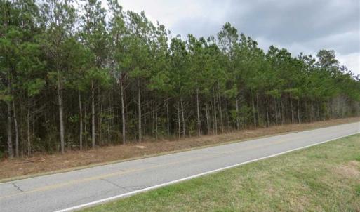 Photo of SOLD!!  24.6 Acres of Hunting and Timber Land For Sale in Pender County NC!