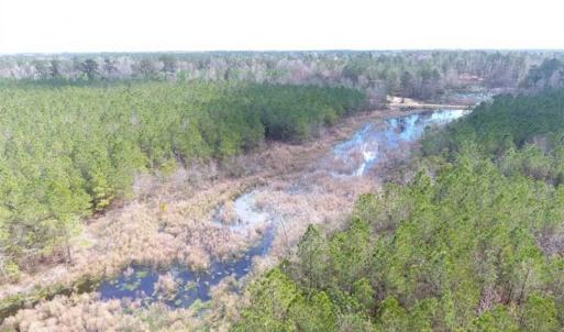 Photo of SOLD!!  24.6 Acres of Hunting and Timber Land For Sale in Pender County NC!