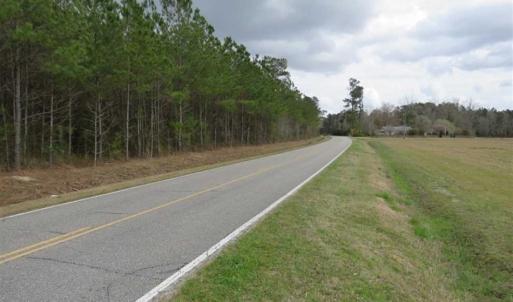 Photo of SOLD!!  24.6 Acres of Hunting and Timber Land For Sale in Pender County NC!