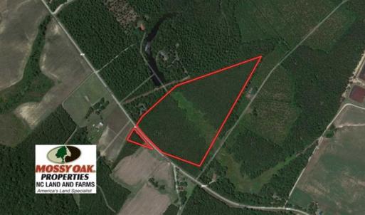 Photo of SOLD!!  24.6 Acres of Hunting and Timber Land For Sale in Pender County NC!