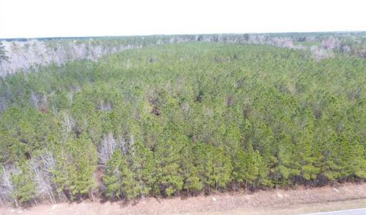 Photo of SOLD!!  24.6 Acres of Hunting and Timber Land For Sale in Pender County NC!