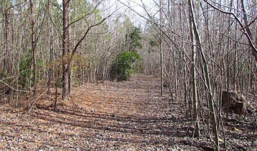 Photo of SOLD!!  49 Acres Overlooking Little Creek Reservoir in James City Co VA!