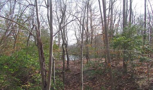 Photo of SOLD!!  49 Acres Overlooking Little Creek Reservoir in James City Co VA!