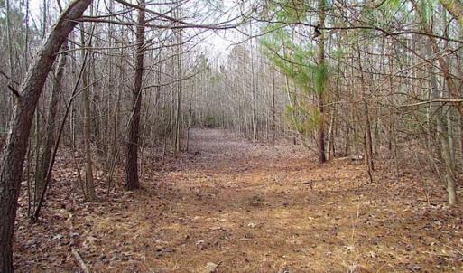 Photo of SOLD!!  49 Acres Overlooking Little Creek Reservoir in James City Co VA!