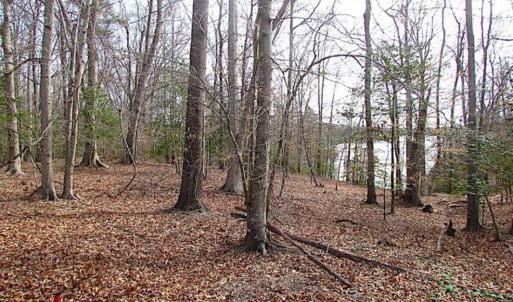 Photo of SOLD!!  49 Acres Overlooking Little Creek Reservoir in James City Co VA!