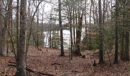 Photo of SOLD!!  49 Acres Overlooking Little Creek Reservoir in James City Co VA!