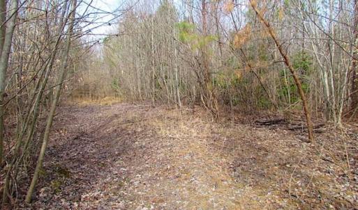 Photo of SOLD!!  49 Acres Overlooking Little Creek Reservoir in James City Co VA!