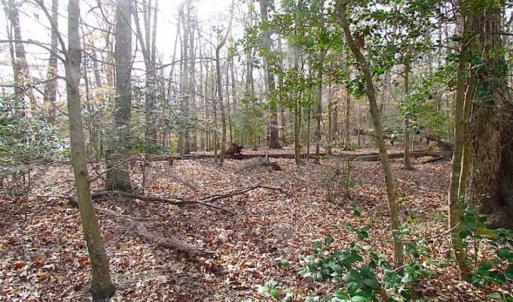 Photo of SOLD!!  49 Acres Overlooking Little Creek Reservoir in James City Co VA!