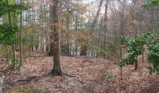 Photo of SOLD!!  49 Acres Overlooking Little Creek Reservoir in James City Co VA!