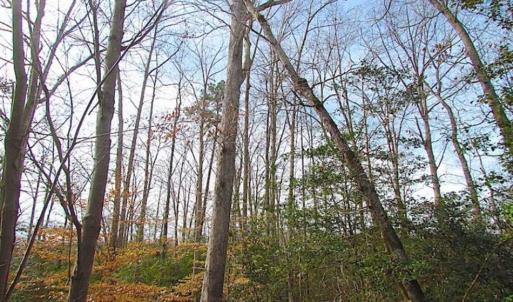 Photo of SOLD!!  49 Acres Overlooking Little Creek Reservoir in James City Co VA!