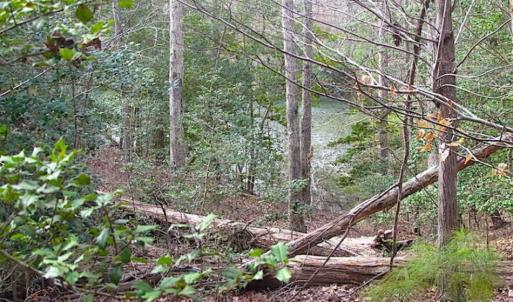 Photo of SOLD!!  49 Acres Overlooking Little Creek Reservoir in James City Co VA!