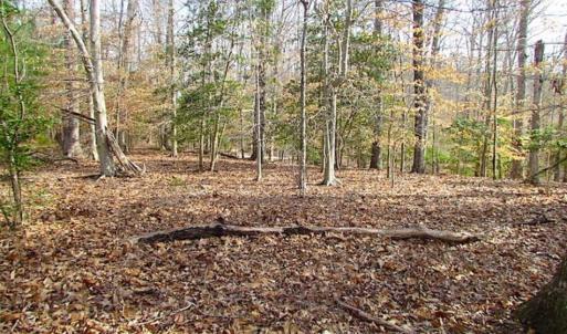 Photo of SOLD!!  49 Acres Overlooking Little Creek Reservoir in James City Co VA!