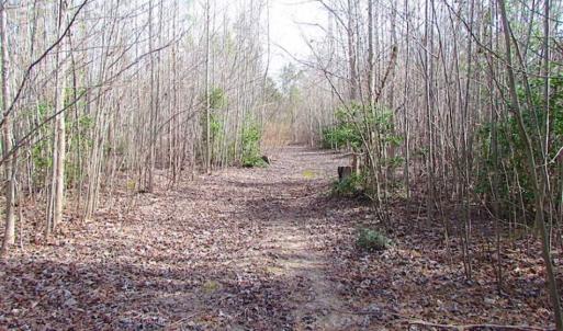 Photo of SOLD!!  49 Acres Overlooking Little Creek Reservoir in James City Co VA!