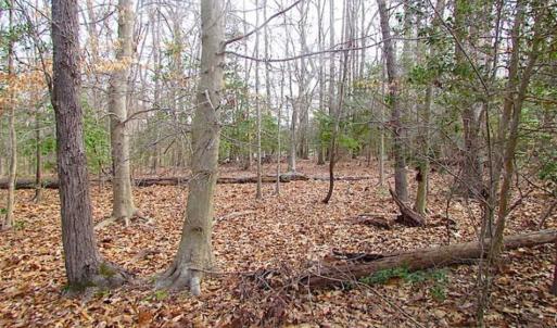 Photo of SOLD!!  49 Acres Overlooking Little Creek Reservoir in James City Co VA!