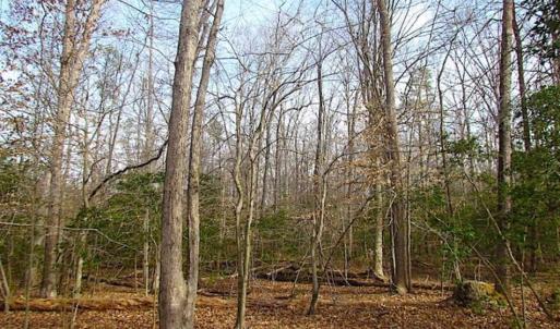 Photo of SOLD!!  49 Acres Overlooking Little Creek Reservoir in James City Co VA!