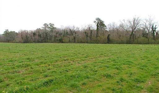 Photo of REDUCED!  65 Acre Working Farm For Sale in Accomack County VA!
