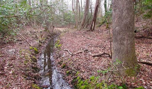 Photo of REDUCED!  65 Acre Working Farm For Sale in Accomack County VA!