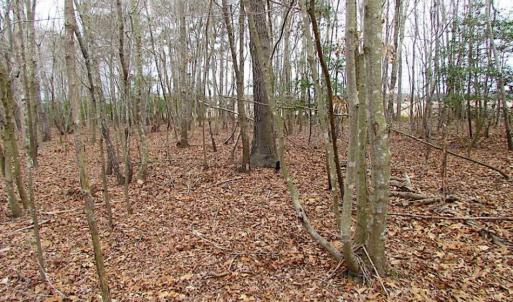 Photo of REDUCED!  65 Acre Working Farm For Sale in Accomack County VA!