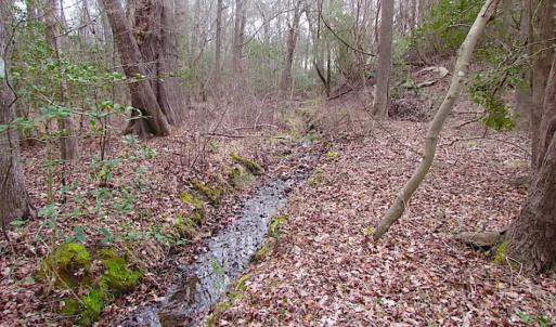 Photo of REDUCED!  65 Acre Working Farm For Sale in Accomack County VA!