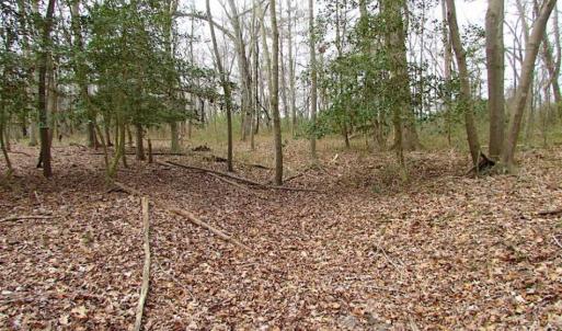 Photo of REDUCED!  65 Acre Working Farm For Sale in Accomack County VA!