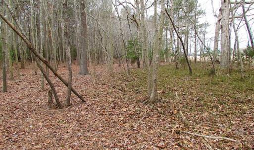 Photo of REDUCED!  65 Acre Working Farm For Sale in Accomack County VA!