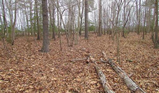 Photo of REDUCED!  65 Acre Working Farm For Sale in Accomack County VA!