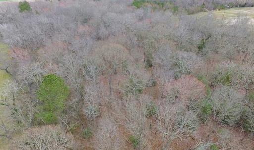 Photo of REDUCED!  65 Acre Working Farm For Sale in Accomack County VA!