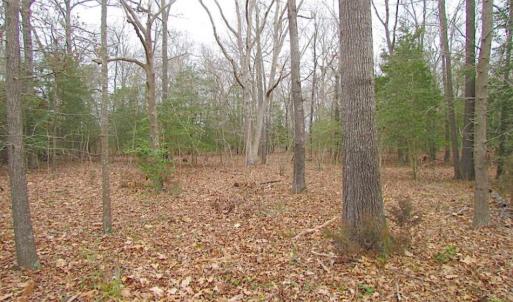 Photo of REDUCED!  65 Acre Working Farm For Sale in Accomack County VA!