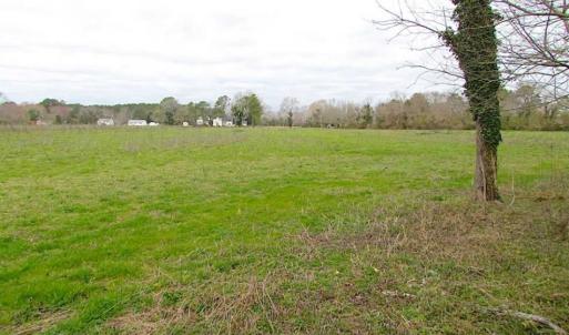 Photo of REDUCED!  65 Acre Working Farm For Sale in Accomack County VA!