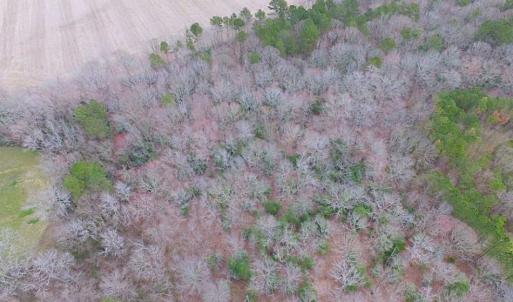 Photo of REDUCED!  65 Acre Working Farm For Sale in Accomack County VA!