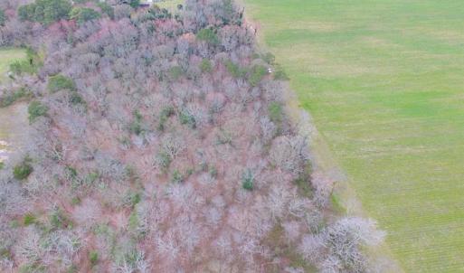 Photo of REDUCED!  65 Acre Working Farm For Sale in Accomack County VA!