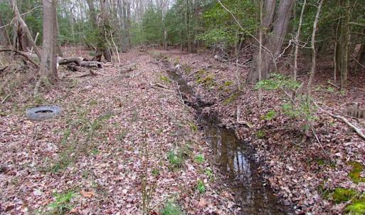 Photo of REDUCED!  65 Acre Working Farm For Sale in Accomack County VA!