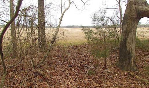 Photo of REDUCED!  65 Acre Working Farm For Sale in Accomack County VA!