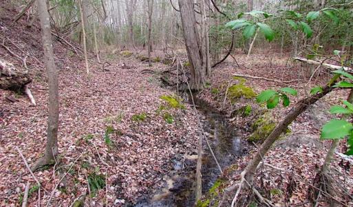 Photo of REDUCED!  65 Acre Working Farm For Sale in Accomack County VA!