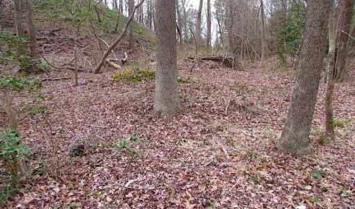Photo of REDUCED!  65 Acre Working Farm For Sale in Accomack County VA!