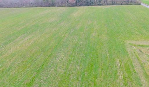 Photo of REDUCED!  65 Acre Working Farm For Sale in Accomack County VA!